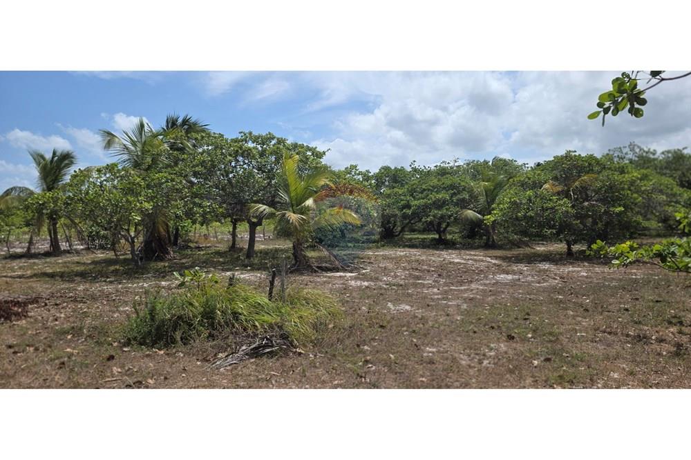 Terreno - Venda - Acaraú , Ceará - 1000304694.jpg - 722341001-114