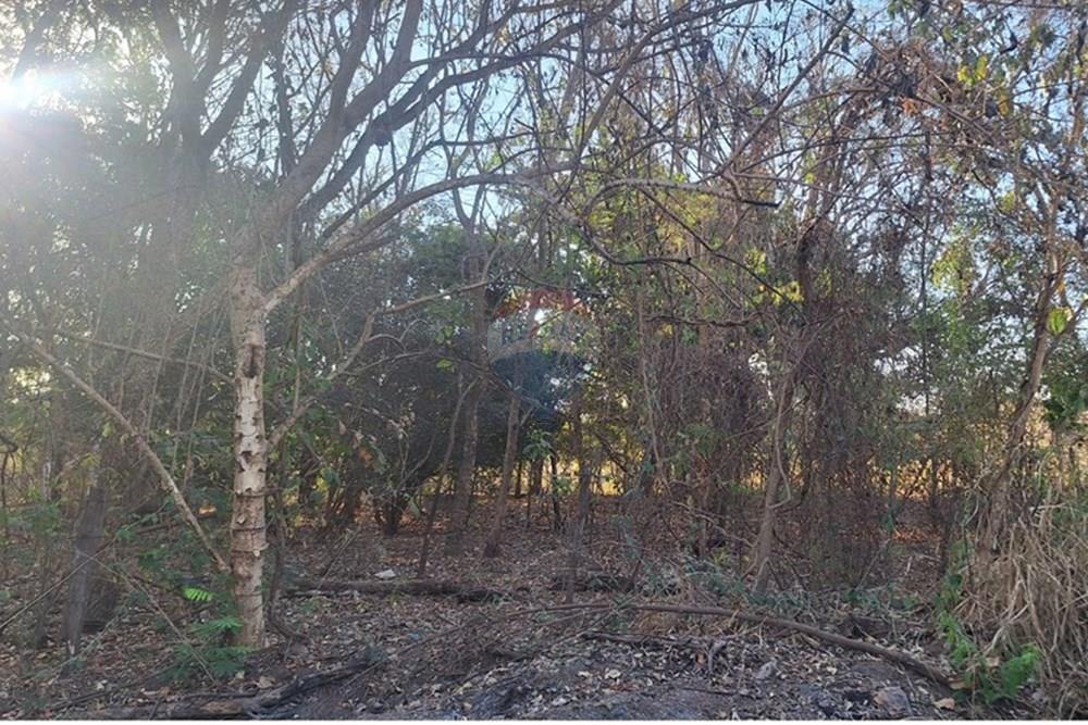 Outros - Venda - Rondonópolis , Mato Grosso - IMG-20250830-WA0124.jpg - 721981068-7