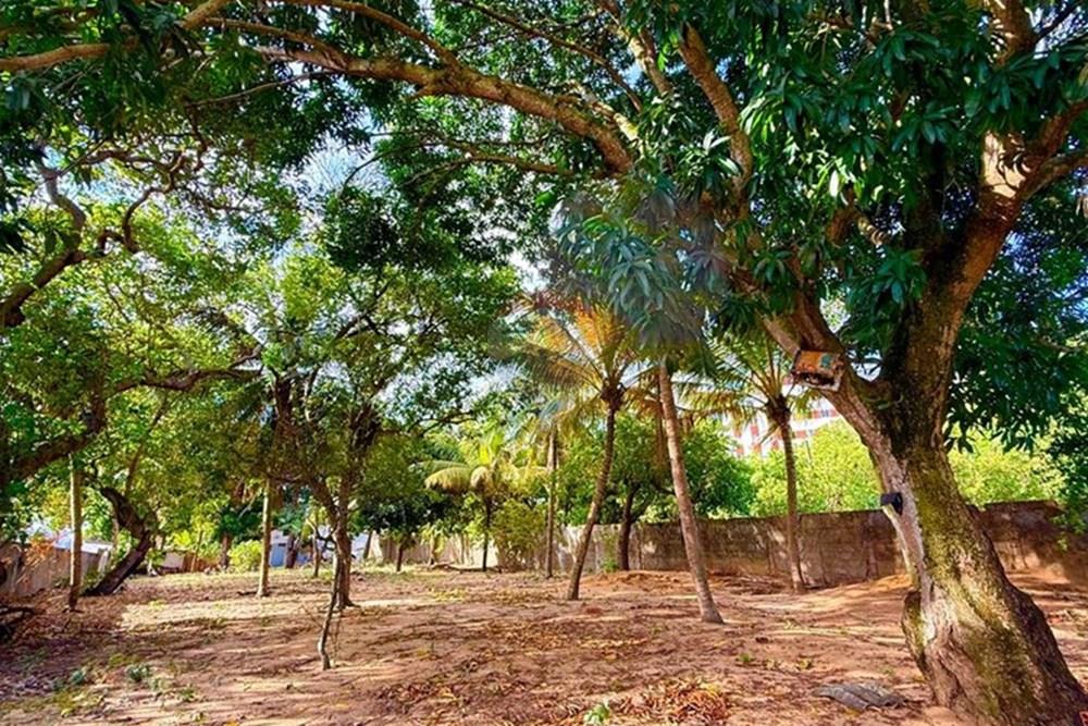 Terreno - Venda - Natal , Rio Grande do Norte - WhatsApp Image 2025-12-04 at 15.27.33 (1).jpeg - 720731001-2488