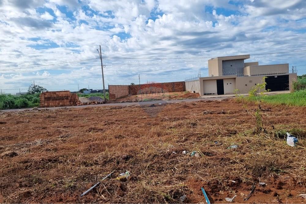 Terreno - Venda - Confresa , Mato Grosso - WhatsApp Image 2026-01-27 at 10.43.38 (1).jpeg - 720641046-17