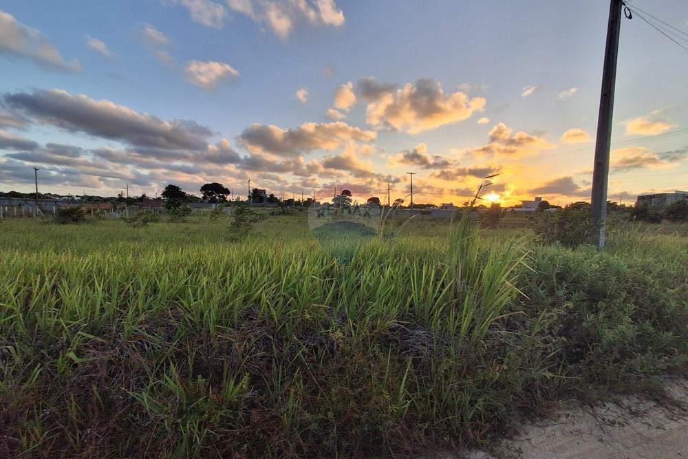 Terreno - Venda - Pitimbu , Paraíba - 20260310_171557.jpg.jpeg - 720871044-118