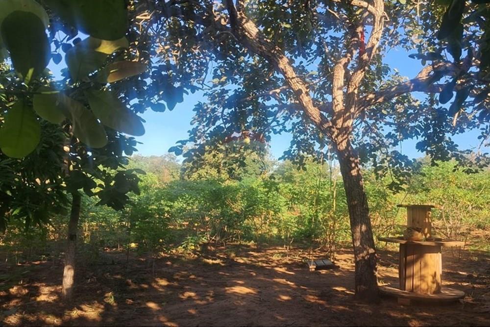 Chácara / Sítio / Fazenda - Venda - Rondonópolis , Mato Grosso - Imagem do WhatsApp de 2025-08-25 à(s) 16.49.18_d7c7cdf6.jpg - 722261001-70