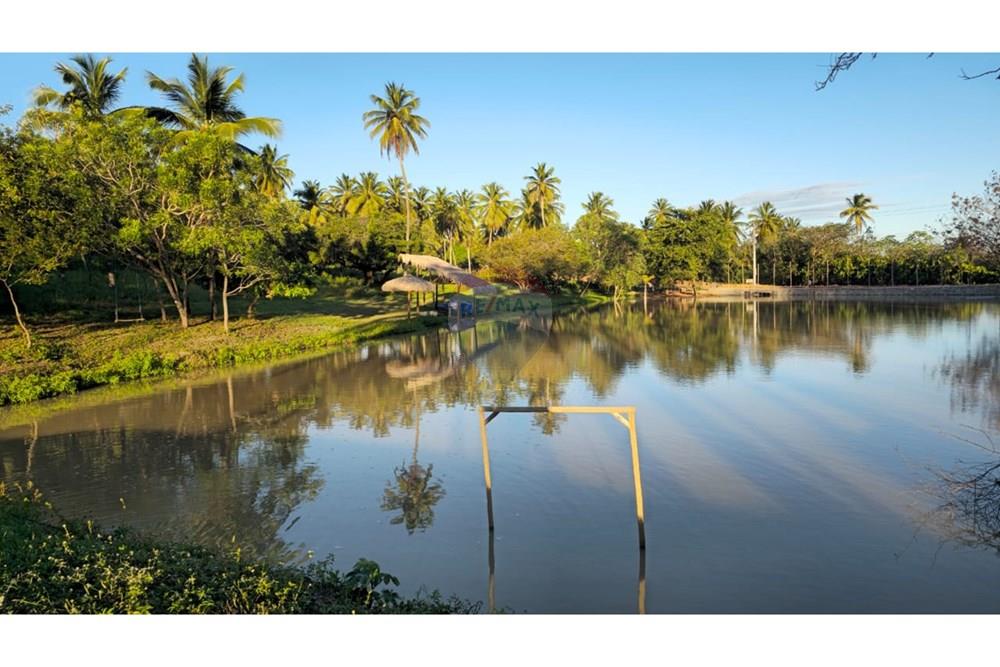 Terreno - Venda - Trairi , Ceará - 1000290565.jpg - 722341005-30