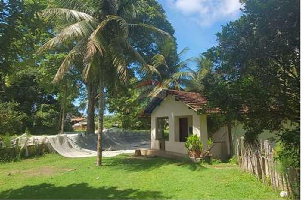 Chácara / Sítio / Fazenda - Venda - Conde , Paraíba - L_f75d1bd6-34cd-4db8-948e-9d725e9ed6ba.jpg - 722011055-33