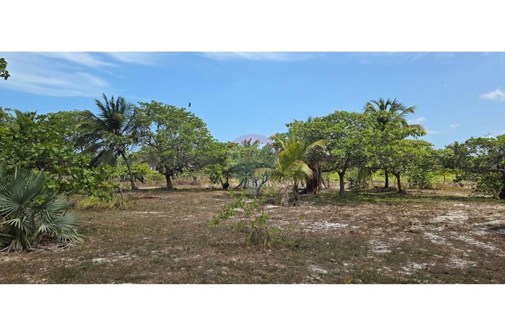 Terreno - Venda - Acaraú , Ceará - 1000304707.jpg - 722341001-114