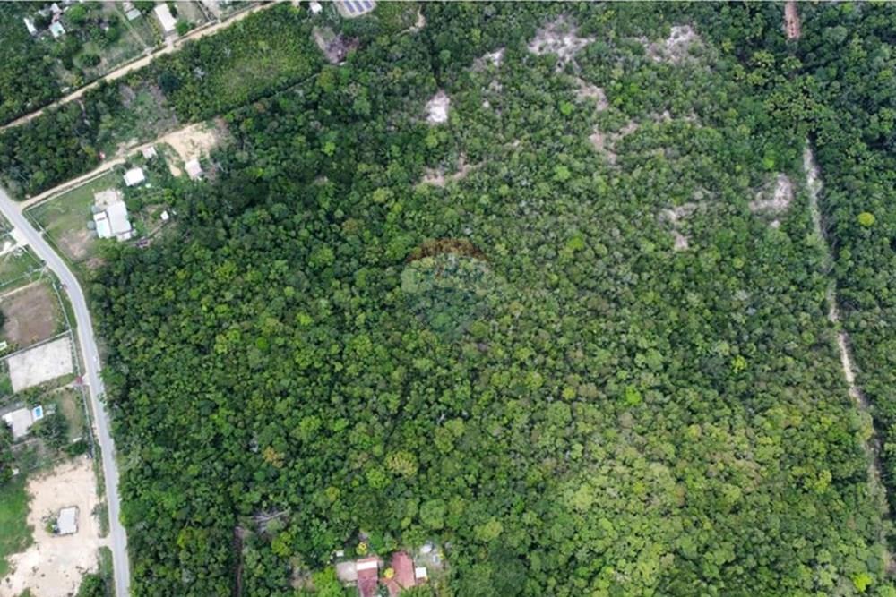 Terreno - Venda - Manaus , Amazonas - IMG-20251021-WA0180.jpg - 720721007-235
