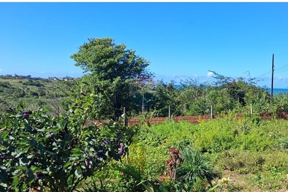 Terreno - Venda - Pitimbu , Paraíba - a6820853-8d2d-4148-b77d-4b63883f3abc.jpeg - 720871044-91
