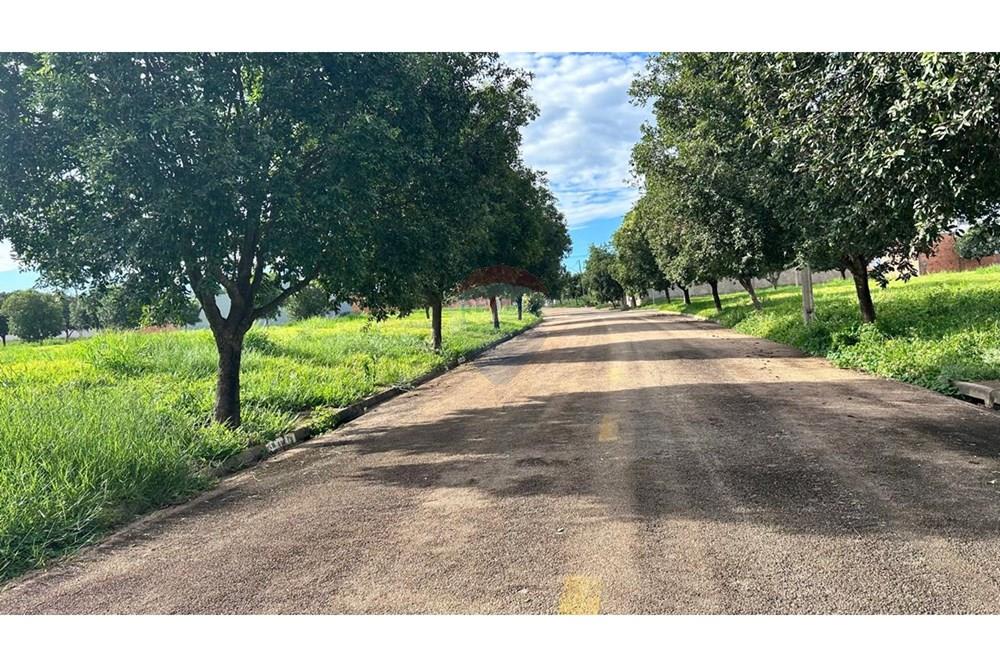 Terreno - Venda - Rondonópolis , Mato Grosso - WhatsApp Image 2026-03-31 at 18.48.01.jpeg - 720851154-251