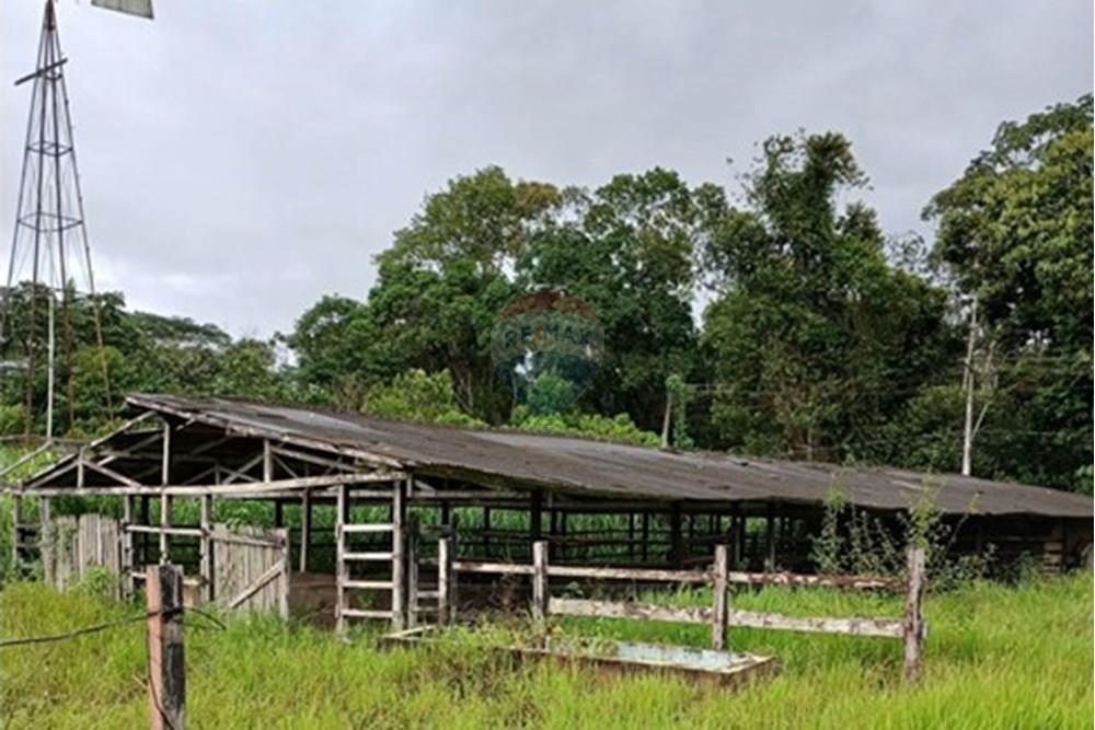 Terreno - Venda - Benevides , Pará - PHOTO-2025-12-22-20-39-41 (1).jpg - 720921008-100