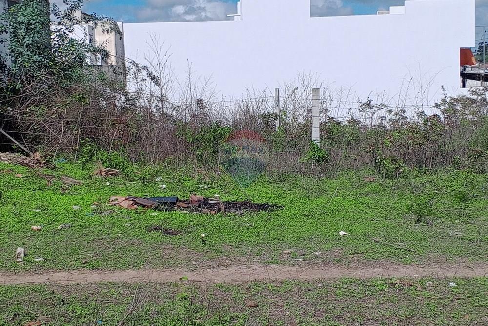 Terreno - Venda - Queimadas , Paraíba - IMG_20260216_084750_598.jpg.jpeg - 720291095-18