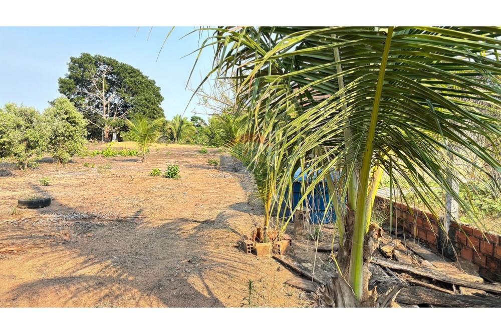 Chácara / Sítio / Fazenda - Venda - Ji-Paraná , Rondônia - WhatsApp Image 2025-08-25 at 16.25.11.jpeg - 722161004-57