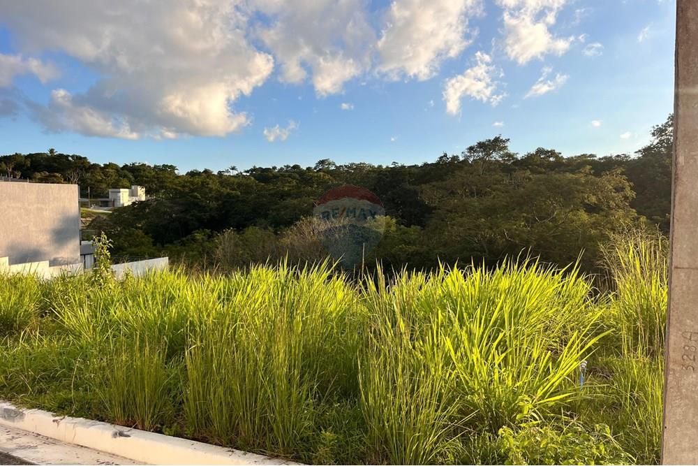 Terreno - Venda - Lagoa Seca , Paraíba - Imagem do WhatsApp de 2025-07-30 à(s) 14.44.09_00edfd4e.jpg - 720291010-111