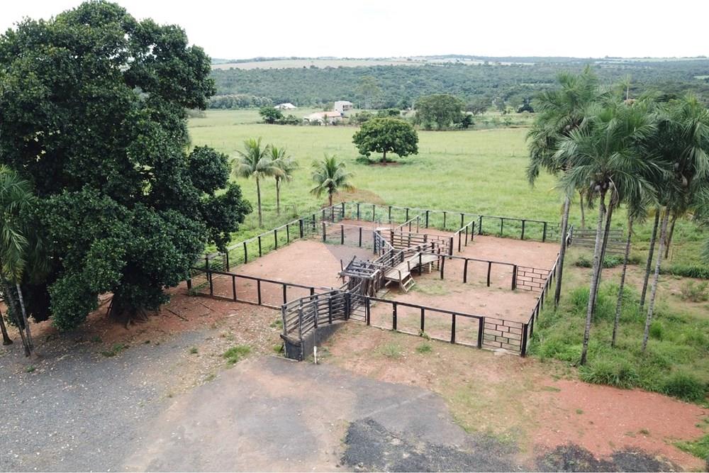 Terreno - Venda - Piracanjuba , Goiás - WhatsApp Image 2026-04-07 at 21.57.18 (4).jpeg - 722271002-7