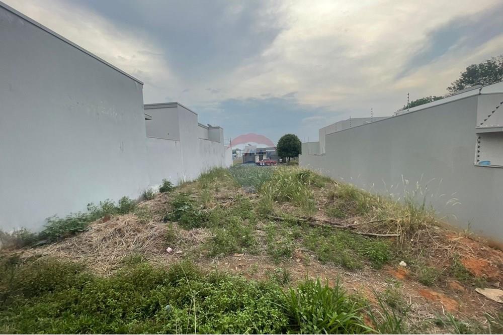 Terreno - Venda - Cacoal , Rondônia - PHOTO-2025-09-16-17-37-14.jpg - 722311011-14