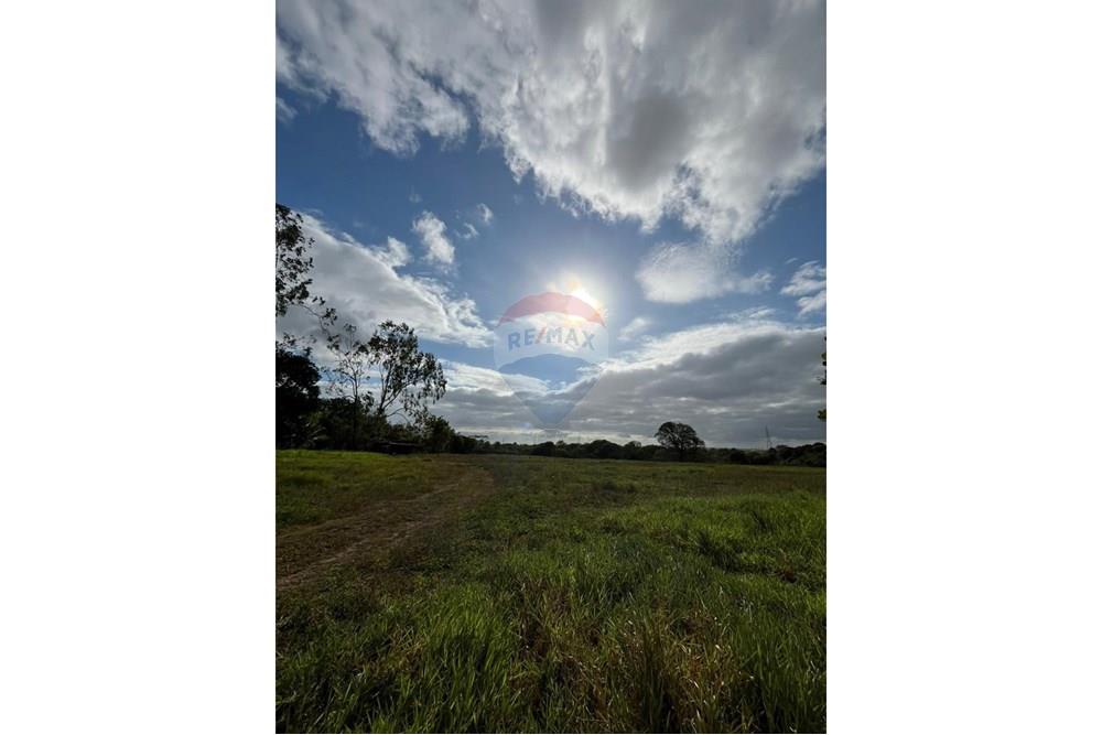 Chácara / Sítio / Fazenda - Venda - Alhandra , Paraíba - Imagem do WhatsApp de 2025-11-15 à(s) 21.38.23_c1017efe.jpg - 722001005-103