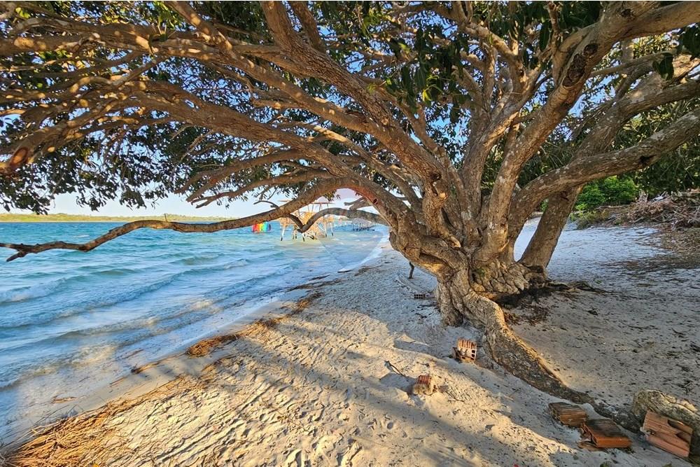 Terreno - Venda - Jijoca de Jericoacoara , Ceará - 20240905_163351.jpg - 722341001-43