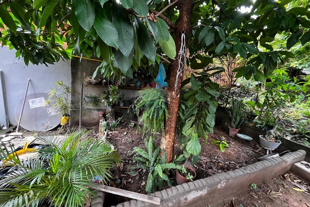 Casa - Venda - Marabá , Pará - WhatsApp Image 2026-02-04 at 15.55.51 (2).jpeg - 722131011-4