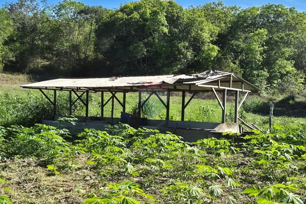 Chácara / Sítio / Fazenda - Venda - Mamanguape , Paraíba - 20250207_145119 1.jpg - 722011055-45