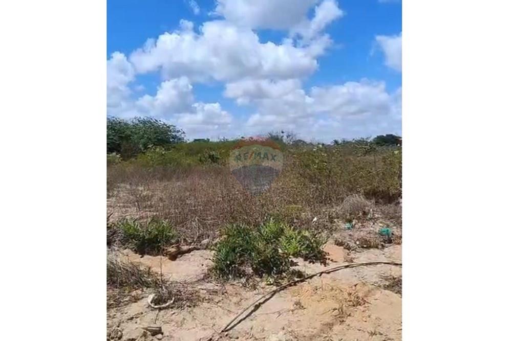 Terreno - Venda - São José de Mipibu , Rio Grande do Norte - TERRENO 2.jpeg - 720891130-239