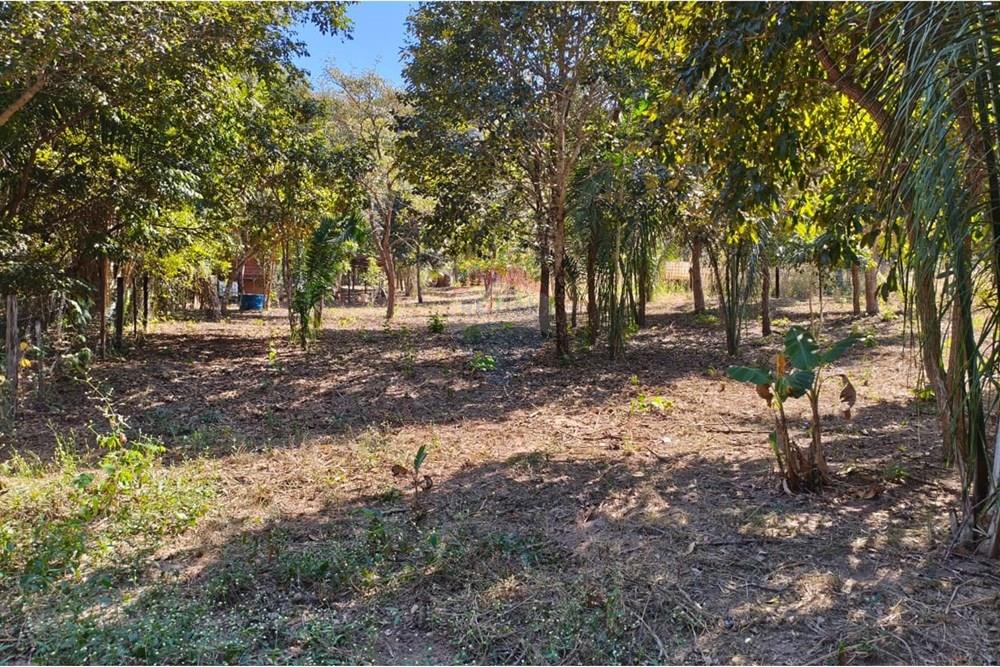 Terreno - Venda - Rondonópolis , Mato Grosso - Imagem do WhatsApp de 2025-08-21 à(s) 13.38.53_b46472e3.jpg - 722261012-23
