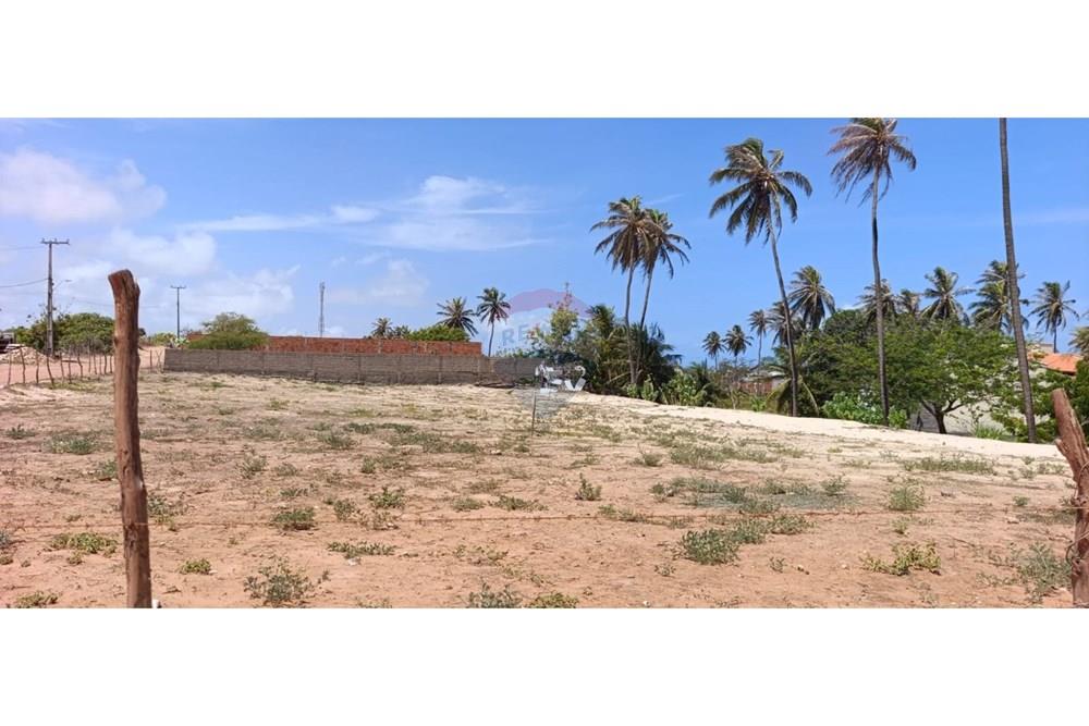 Terreno - Venda - Trairi , Ceará - WhatsApp Image 2026-01-16 at 14.42.41.jpeg - 722341005-41