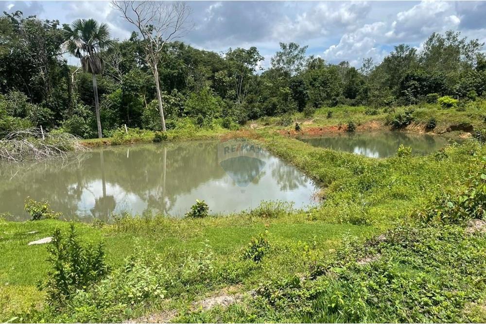 Chácara / Sítio / Fazenda - Venda - Araguaína , Tocantins - WhatsApp Image 2025-07-10 at 9.52.09 AM (1).jpeg - 722171061-11