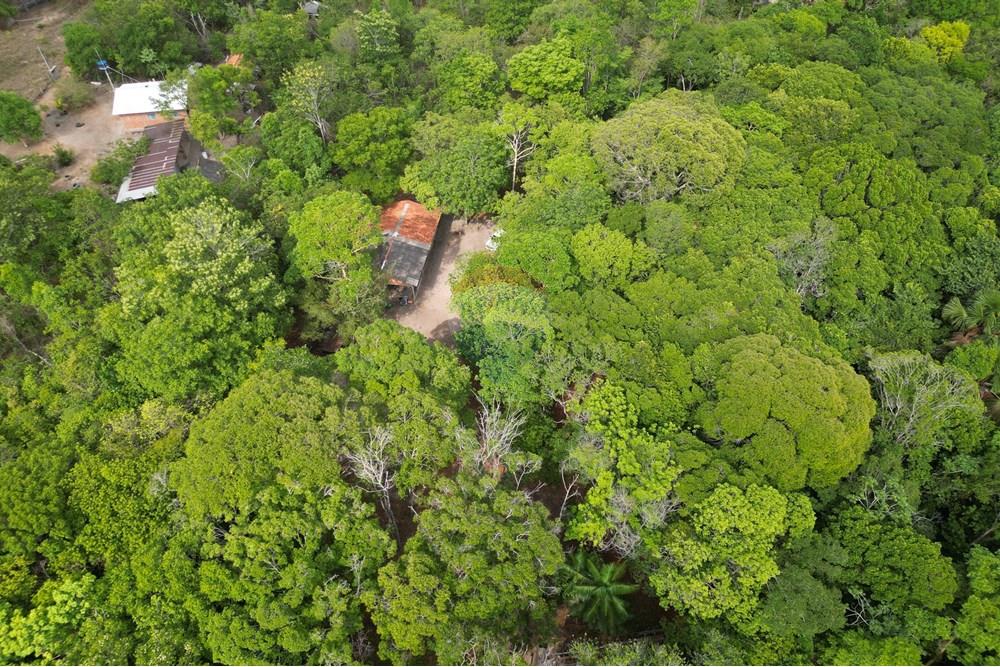 Chácara / Sítio / Fazenda - Venda - Babaçulândia , Tocantins - DJI_0094.JPG - 720991008-82