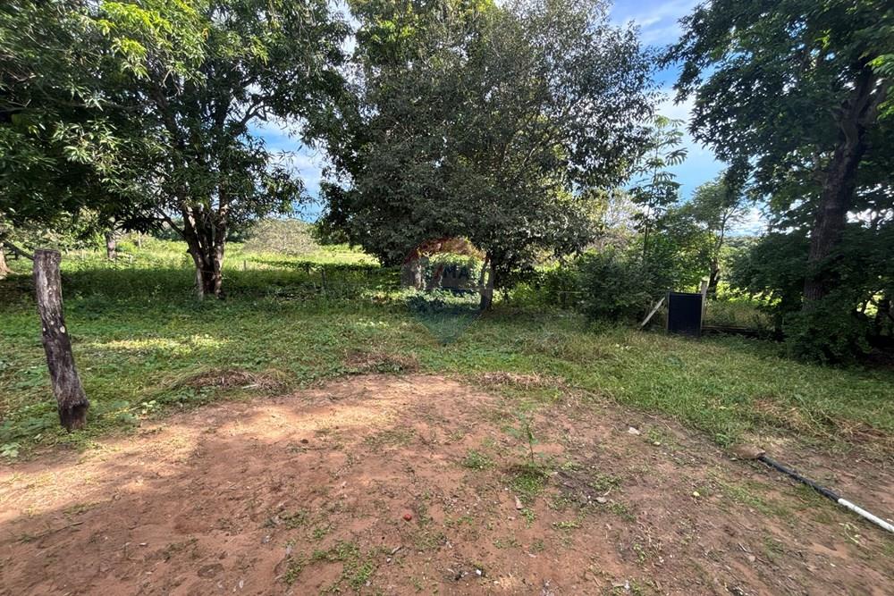 Chácara / Sítio / Fazenda - Venda - Barra do Garças , Mato Grosso - IMG_8211.JPG.jpeg - 722221023-69