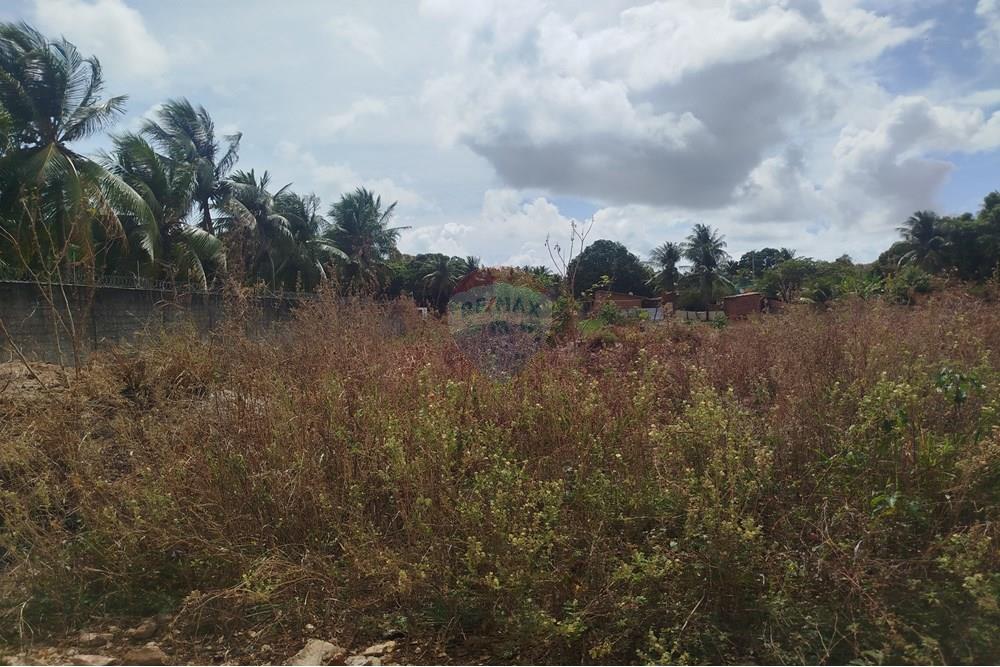 Terreno - Venda - Nísia Floresta , Rio Grande do Norte - WhatsApp Image 2024-11-22 at 21.32.41.jpeg - 720891013-275