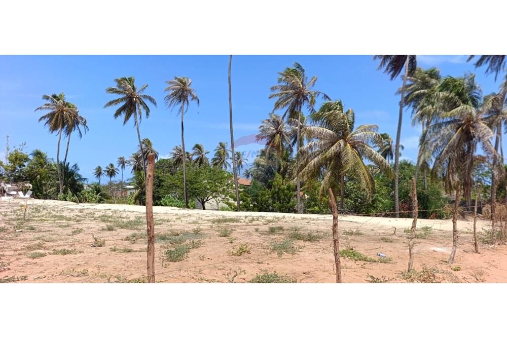 Terreno - Venda - Trairi , Ceará - WhatsApp Image 2026-01-16 at 14.42.41 (1).jpeg - 722341005-41