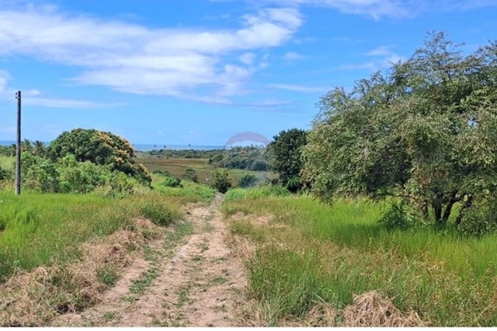 Terreno - Venda - Pitimbu , Paraíba - 39f19f80-1213-4102-a653-a4ef74da1559.jpeg - 720871044-91