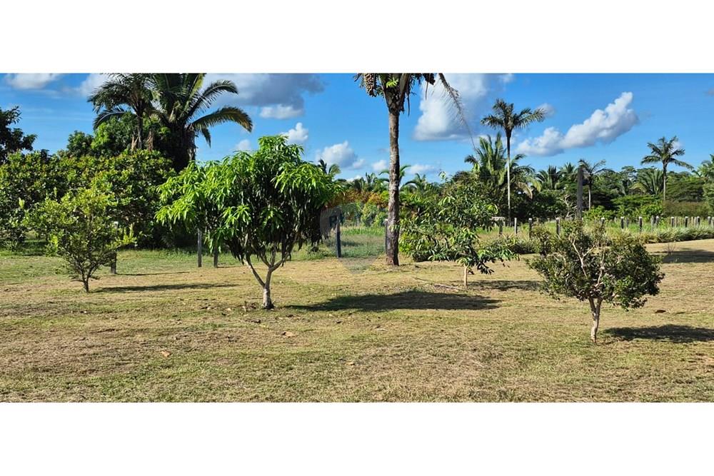 Dzīvojamais - Lauku saimniecība - Porto Velho , Rondônia - BR - MANGA.jpg - 721551019-217