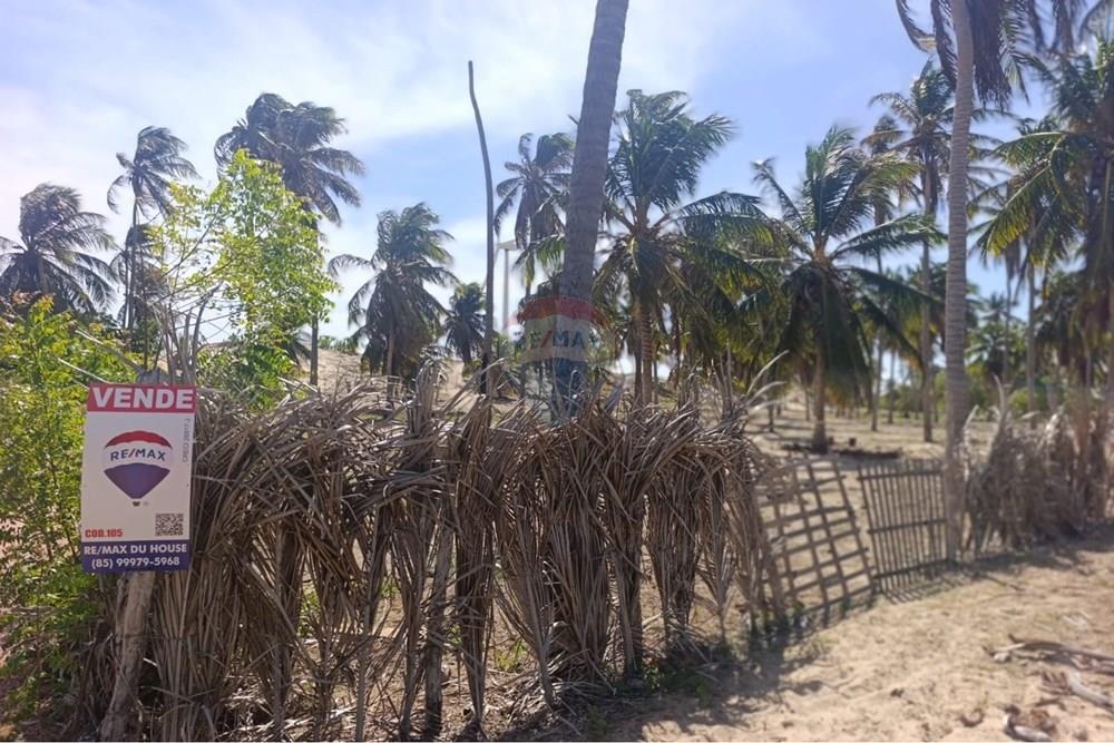 Terreno - Venda - Trairi , Ceará - WhatsApp Image 2026-01-28 at 14.05.39 (1).jpeg - 722341005-47