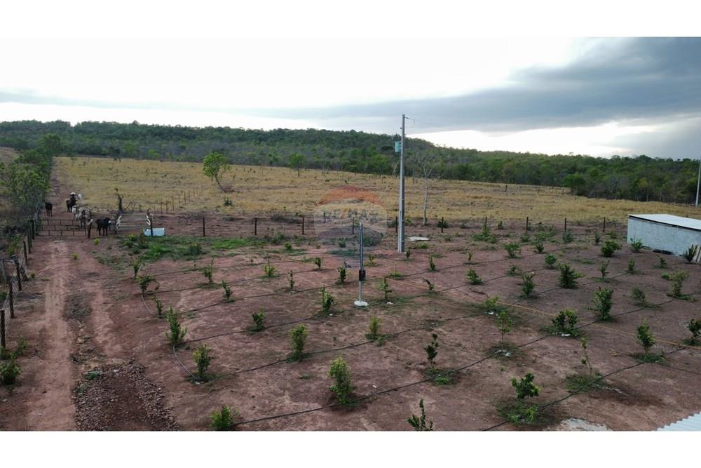 Chácara / Sítio / Fazenda - Venda - Água Boa , Mato Grosso - dji_fly_20251010_181322_109_1760130817150_photo_optimized.jpg - 722211004-26