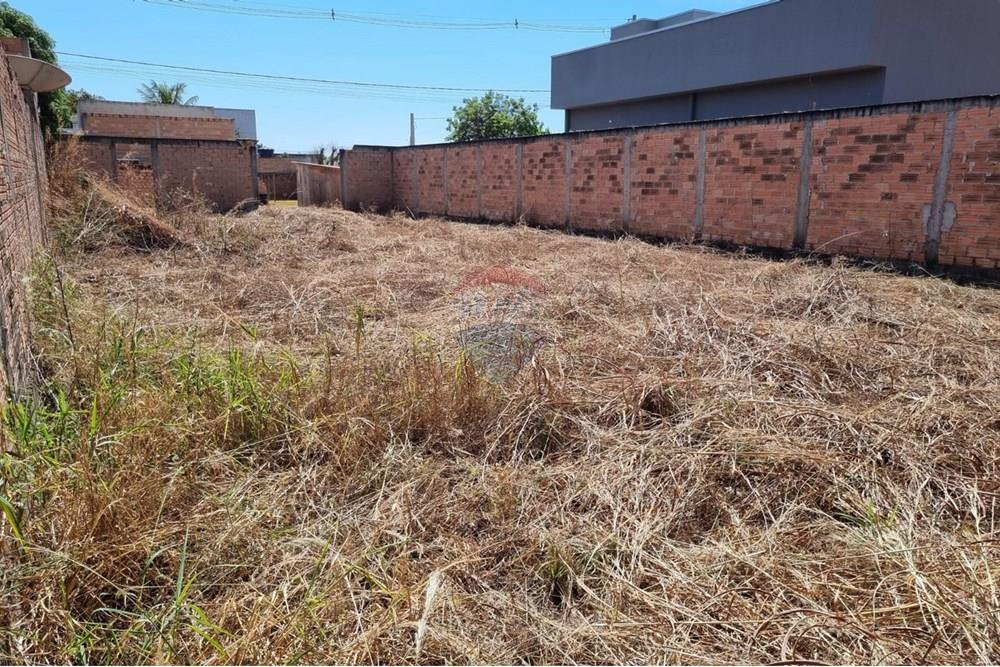 Terreno - Venda - Confresa , Mato Grosso - IMG-20250801-WA0025.jpg - 720641046-1