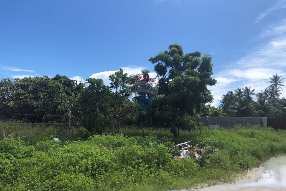Terreno - Venda - Cruz , Ceará - IMG_0587.jpeg - 722341001-199