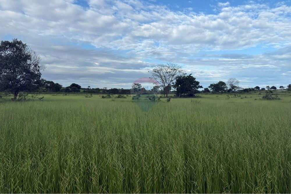 Casa - Venda - Rondonópolis , Mato Grosso - WhatsApp Image 2026-01-27 at 08.45.11 (1).jpeg - 720851057-59