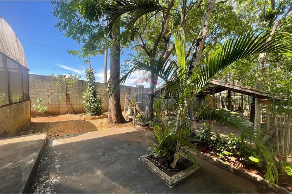 Chácara / Sítio / Fazenda - Venda - Nova Veneza , Goiás - WhatsApp Image 2025-11-18 at 07.24.55.jpeg - 722271015-32