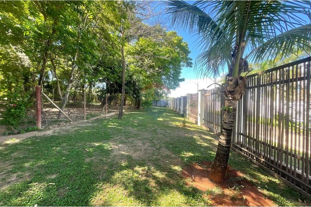 Chácara / Sítio / Fazenda - Venda - Nova Veneza , Goiás - WhatsApp Image 2025-11-18 at 07.24.52 (4).jpeg - 722271015-32