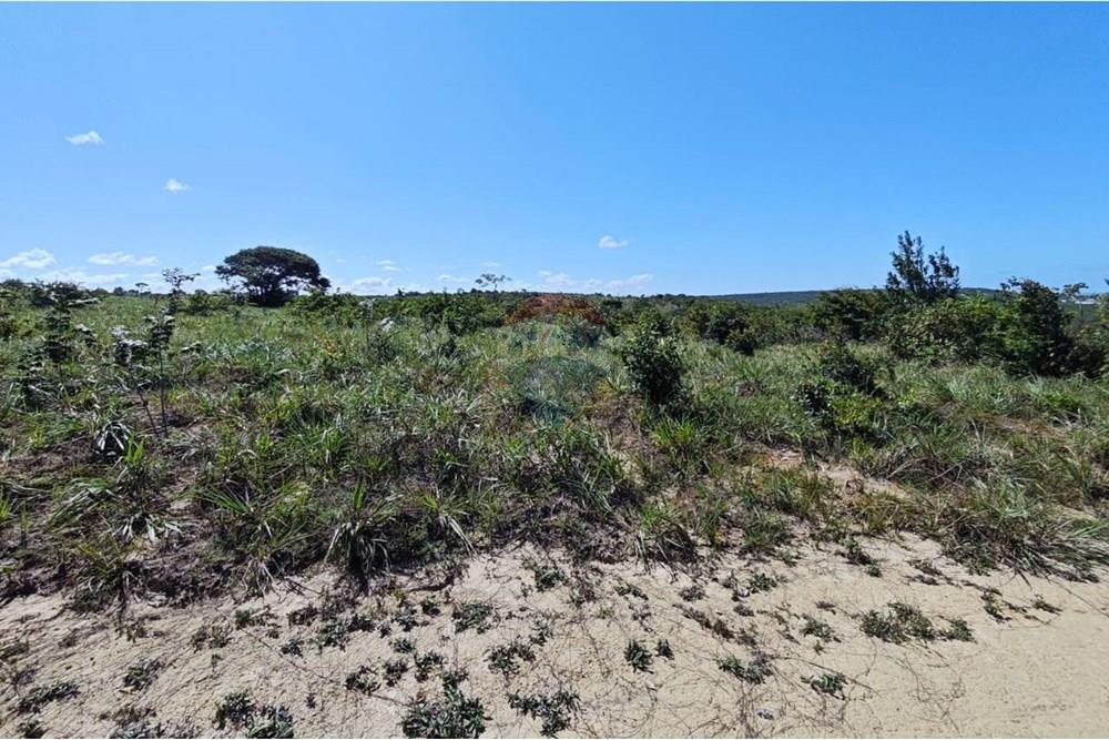 Terreno - Venda - Pitimbu , Paraíba - WhatsApp Image 2025-08-28 at 18.48.52.jpeg - 720871009-185