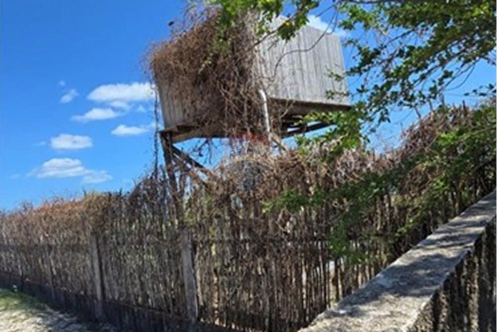 Terreno - Venda - Cruz , Ceará - 20250806_095815.jpg - 722341001-74