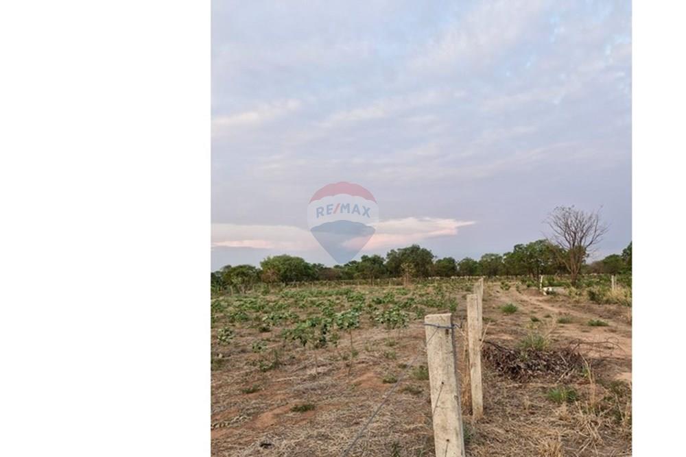 Chácara / Sítio / Fazenda - Venda - Rondonópolis , Mato Grosso - IMG-20251027-WA0031.jpg - 721981068-21