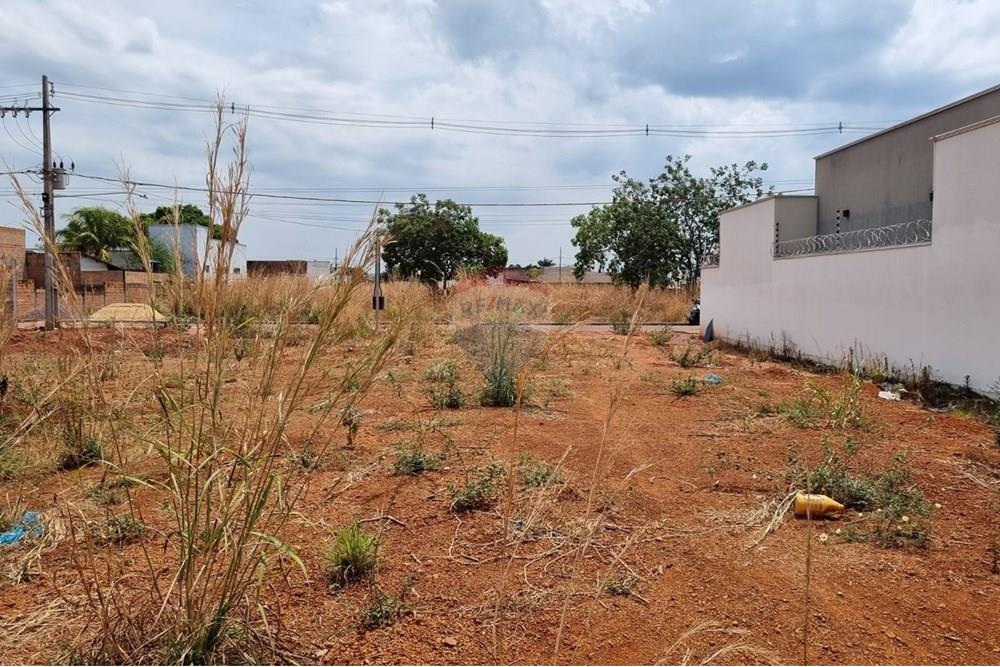 Terreno - Venda - Confresa , Mato Grosso - WhatsApp Image 2025-09-24 at 17.16.12.jpeg - 720641046-9