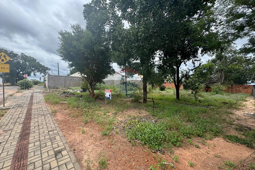 Terreno - Venda - Araguaína , Tocantins - WhatsApp Image 2026-04-06 at 13.26.10.jpeg - 722171060-1