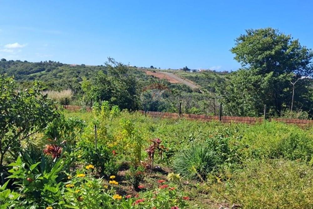 Terreno - Venda - Pitimbu , Paraíba - d71a6eab-4a1d-4c48-b687-a6f83b08da77.jpeg - 720871044-85