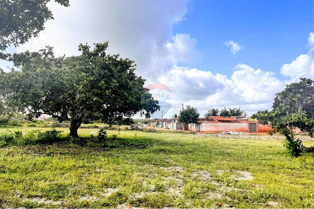 Terreno - Venda - São Miguel do Gostoso , Rio Grande do Norte - WhatsApp Image 2025-06-28 at 09.43.34 (3).jpeg - 720891134-1590