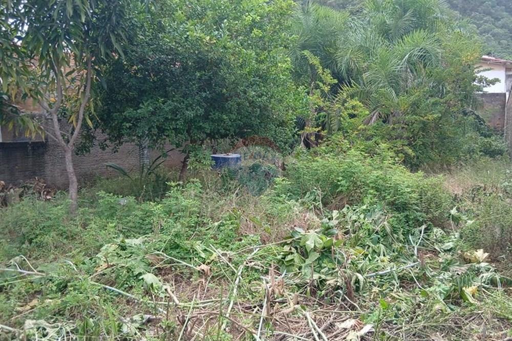 Terreno - Venda - Barra do Garças , Mato Grosso - WhatsApp Image 2026-04-06 at 15.59.34.jpeg - 722221067-1