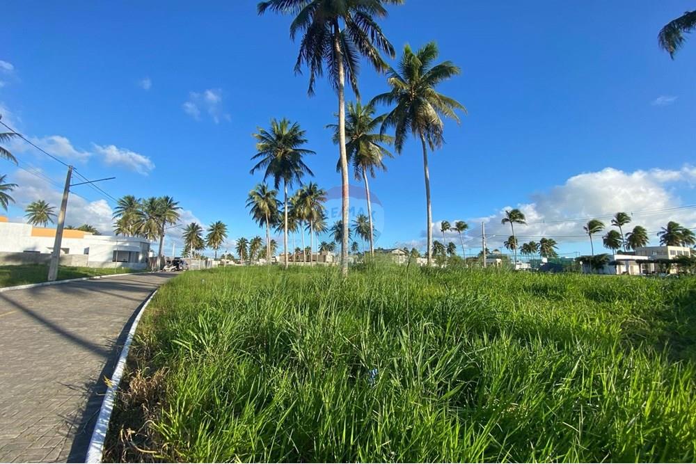 Terreno - Venda - Parnamirim , Rio Grande do Norte - 1537a861-f458-42da-abca-d6160927ff92.jpg - 720891155-325