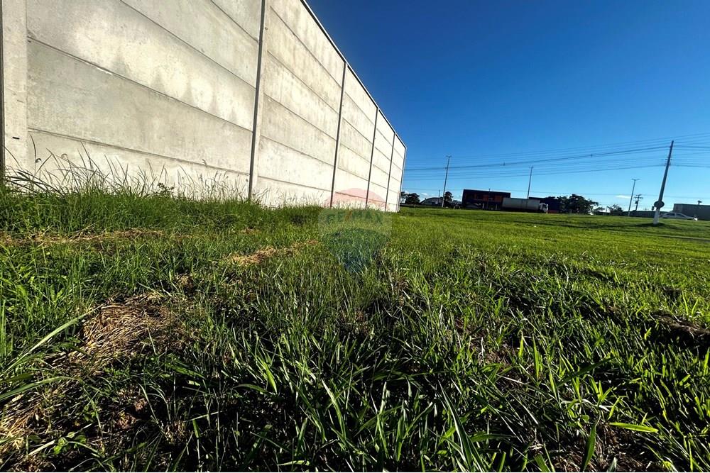 Terreno - Venda - Cacoal , Rondônia - IMG_1513.jpg - 721971001-38
