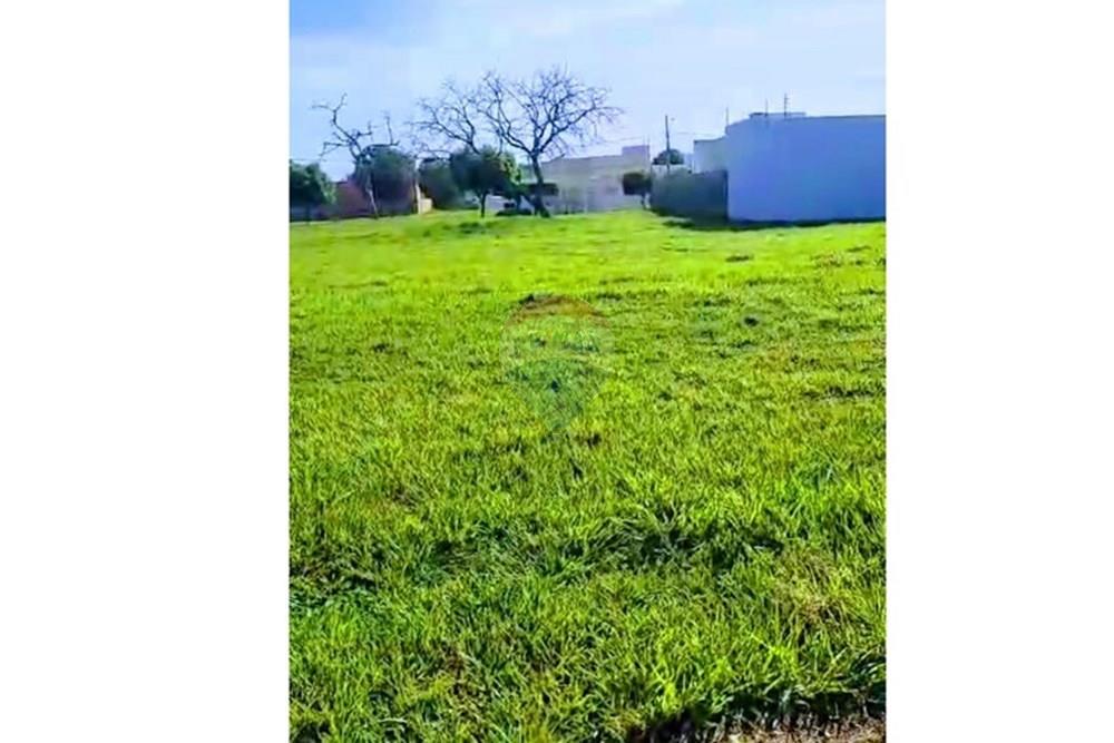 Terreno - Venda - Rondonópolis , Mato Grosso - WhatsApp Image 2025-08-07 at 12.34.59 (1).jpeg - 721981066-4